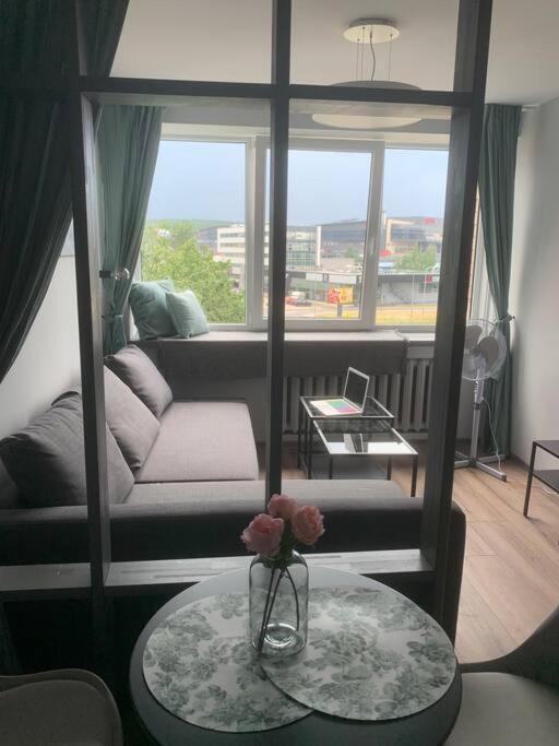 Apartment Near Ozas Vilnius Bagian luar foto